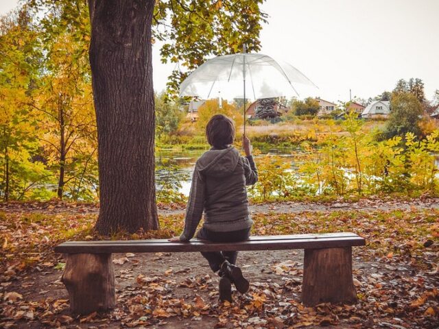 Sachsen-Anhalt Wetter für Freitag