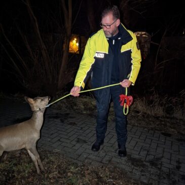 Polizeirevier Harz: Aktuelle Polizeimeldungen