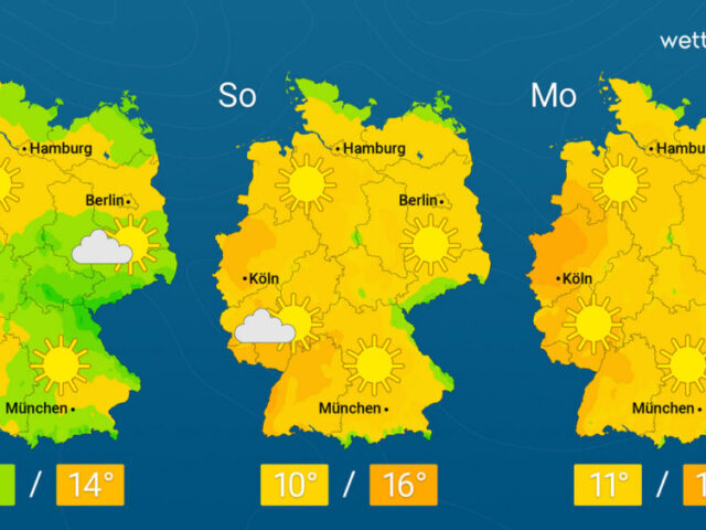 Kein Regen und viel Sonne – Waldbrandgefahr nimmt zu