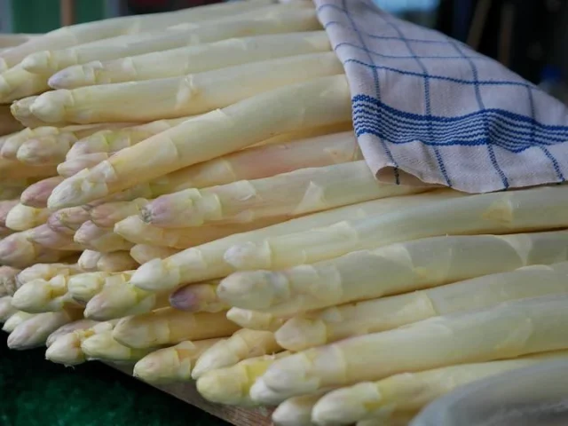 Spargel aus Sachsen-Anhalt: „Bis Johanni nicht vergessen: sieben Wochen Spargel essen.”