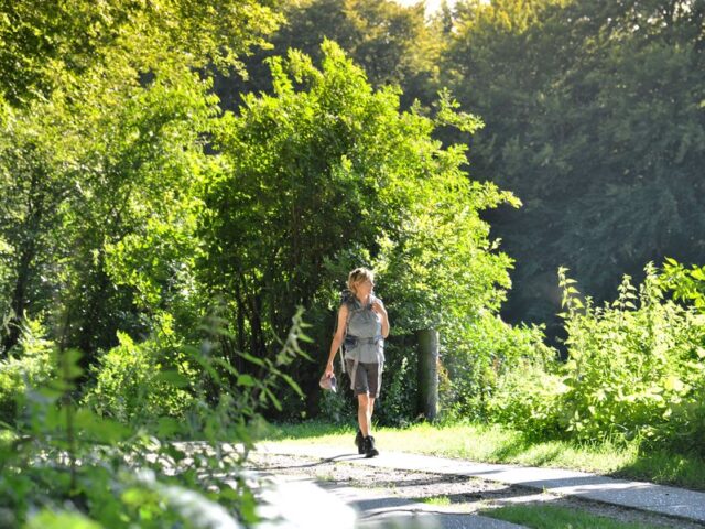 Binnenland Schleswig-Holstein: Die reizvollen Naturparks beim Wandern entdecken