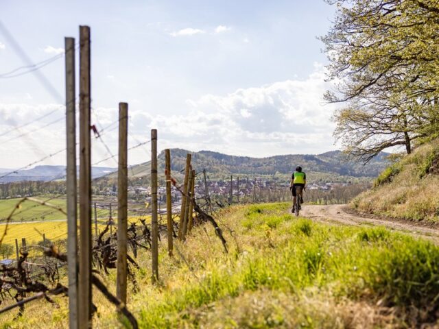 Hügelglück im Kraichgau-Stromberg: Bei mehrtägigen Radtouren Natur und Weingenuss erleben