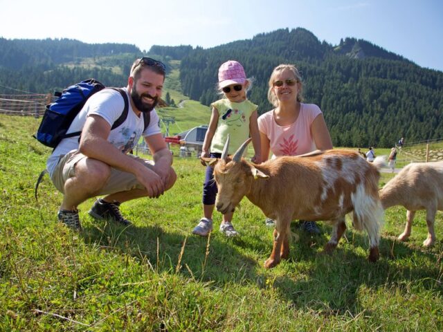 Bergerlebnisse im Allgäu: Ferientipps für unternehmungslustige und aktive Familien