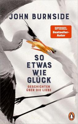 Das neue Buch von John Burnside: So etwas wie Glück – Geschichten über die Liebe