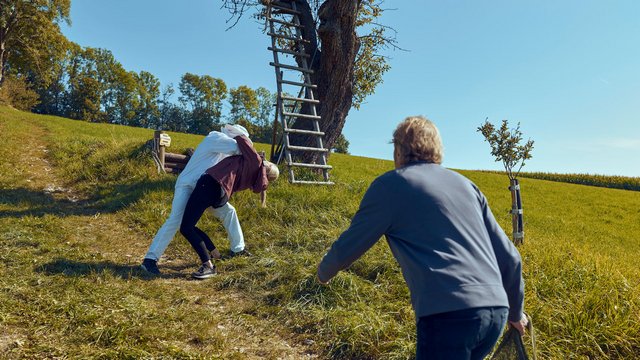 Krimiserie: SOKO Wien – Höllensturz (ZDF 18:05 – 19:00 Uhr)