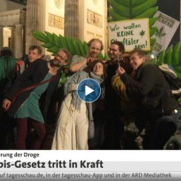 tagesschau in 100 Sekunden