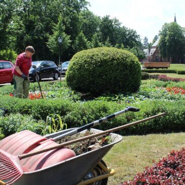 Ottostadt startet mit bunten Sommerblumen in den Frühsommer