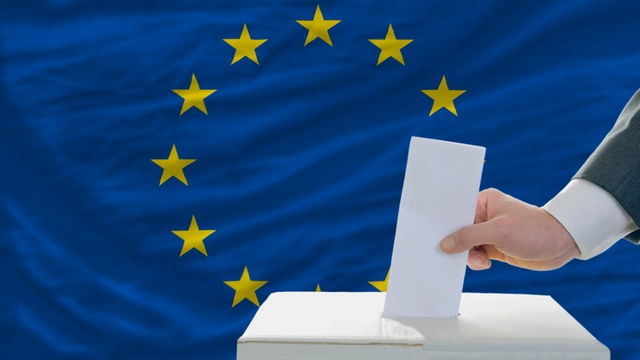 Umfrage zur Europawahl: AfD-Umfragewerte bei 17 Prozent