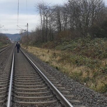 Bahnpolizei im Einsatz: Schafe im Gefahrenbereich