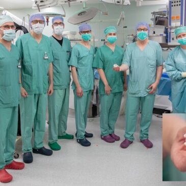 Erfolgreiche Implantation einer kompletten Herzklappe über die Leiste an der Universitätsmedizin Magdeburg
