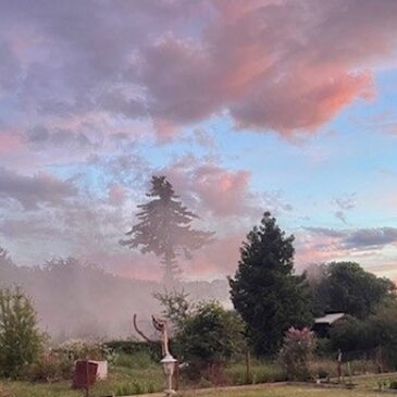 Feuerwehr im Einsatz: Ein Toter nach Brand in Gartenlaube