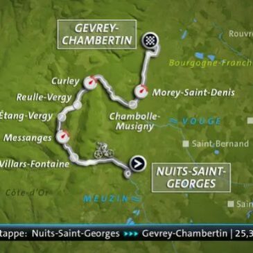 Ab 13:35 Uhr im Livestream: Tour de France – 7. Etappe: Nuits-Saint-Georges – Gevrey-Chambertin (25 km Einzelzeitfahren) (Das Erste 14:10 – 17:05 Uhr)