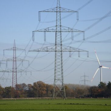 Bei Stromtrassen-Bau: FDP will Erdkabel vermeiden