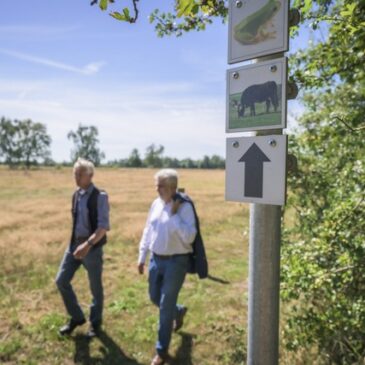 Sommertour: Willingmann besucht Projekte zu Naturschutz und Biodiversität im Drömling