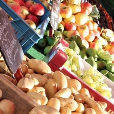 Nächster Regionalmarkt in Haldensleben am Samstag