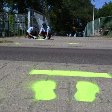 Polizeiinspektion Magdeburg: Zebrastreifen, Zebrastreifen, mancher wird dich nie begreifen…