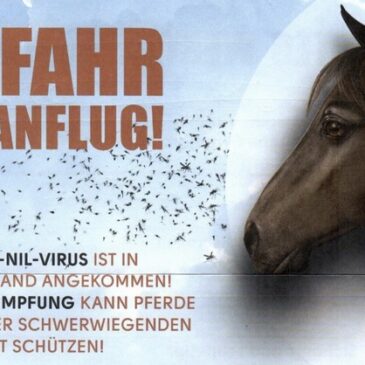 Amtliche Feststellung einer Infektion mit dem West-Nil-Virus bei einem Pferd