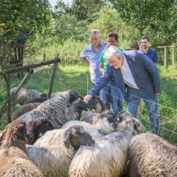 Sommertour: Willingmann besucht tierische Naturschutzhelfer im Saale- und Burgenlandkreis