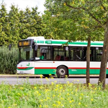 Straßensperrung wegen Havarie: Buslinie 57 fährt verändert