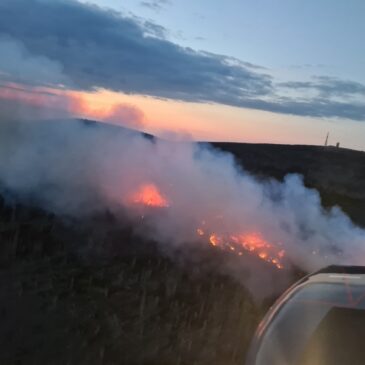 Waldbrand am Brocken: Hoffen auf Wetterwechsel im Harz