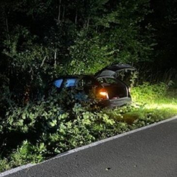 Polizeirevier Harz: Aktuelle Polizeimeldungen