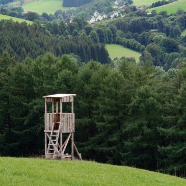 Jagdreviere in Haldensleben werden neu ausgeschrieben