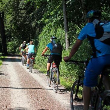 Radtour am Samstag auf dem Städtepartnerschaftsradweg Braunschweig – Magdeburg