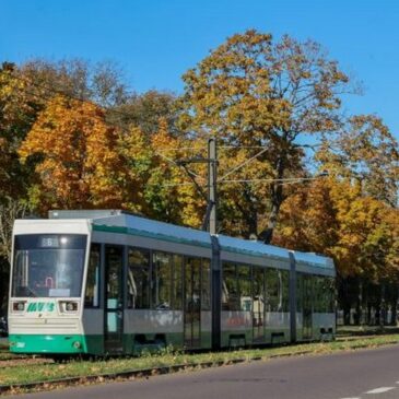 Wegen Magdeburg Marathon am Sonntag: Straßenbahnverkehr zum Herrenkrug wird eingestellt