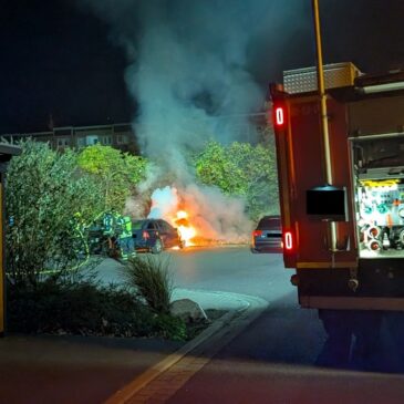 Feuerwehr im Einsatz: Zwei Autos gehen in Magdeburg in Flammen auf