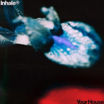 Inhaler veröffentlichen ihre neue Single & Video “Your House” und kündigen ihr neues Album “Open Wide” an