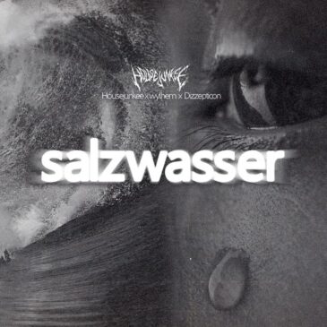 Housejunkee x Wylhem x Dizzepticon veröffentlichen neue Single “Salzwasser”