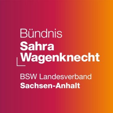 BSW-Spitze in Sachsen-Anhalt macht USA für Krieg in der Ukraine verantwortlich