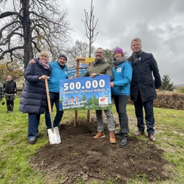 Eine Million Euro für neue Bäume im Harz /  Radio Brocken knackt historische Marke und pflanzt 500.000sten Baum