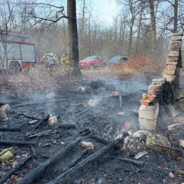 Feuerwehr im Einsatz: Waldgebiet in Brand