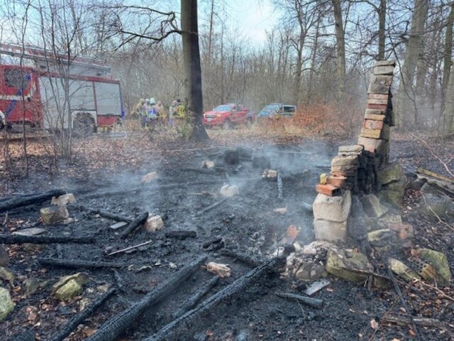 Feuerwehr im Einsatz: Waldgebiet in Brand