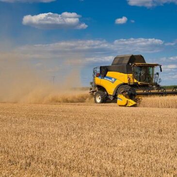 Lebensmittelproduktion: Gewinne der Bauern gesunken