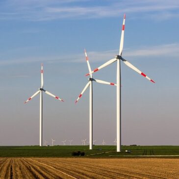 Weniger Kohlestrom: Erneuerbarer Strom auf Rekordhoch