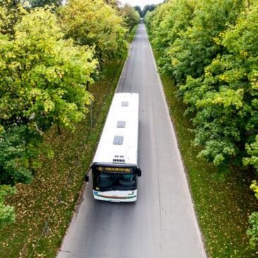 Buslinie 59 fährt ab Montag wegen Bauarbeiten nur bis zur Stadthalle