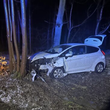 Glatteis auf L243: Autofahrer kommt von Fahrbahn ab und kracht gegen Baum