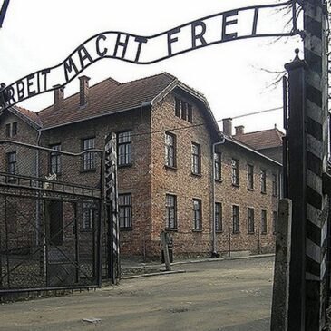 Gedenkfeier mit Überlebenden: 80 Jahre Auschwitz-Befreiung