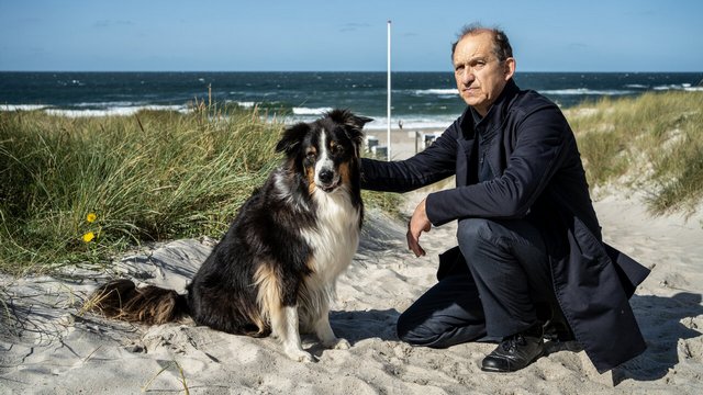 Krimi: Nord Nord Mord – Sievers und der verlorene Hund (ZDF 20:15 – 21:45 Uhr)