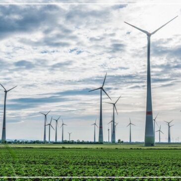 Willingmann sieht Windkraftausbau in Sachsen-Anhalt auf richtigem Weg