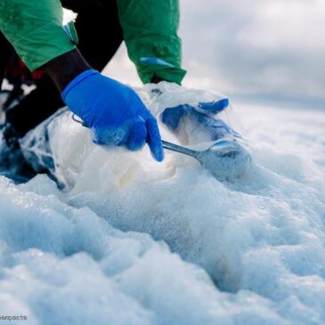 Greenpeace warnt: Meeresschaum an deutscher Nord- und Ostseeküste mit gesundheitsgefährdenden Chemikalien belastet