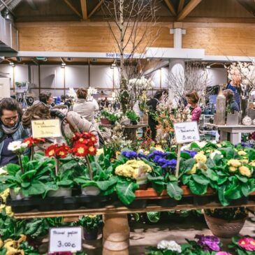 Gartenträume Magdeburg ab 21. Februar: Inspirationen, Innovationen und Naturerlebnisse für Gartenliebhaber