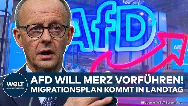 MIGRATION: Fällt Merz um? Plan der Union könnte scheitern – AfD plant Abstimmung im Landtag