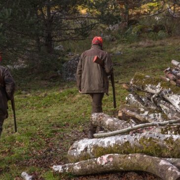 Nächste Jägerprüfung im April: Anmeldungen ausschließlich am 4. März möglich